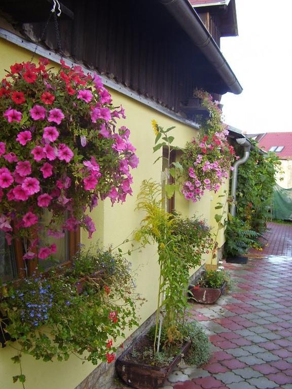 Penzion Many Peny Jindřichŭv Hradec Exterior photo