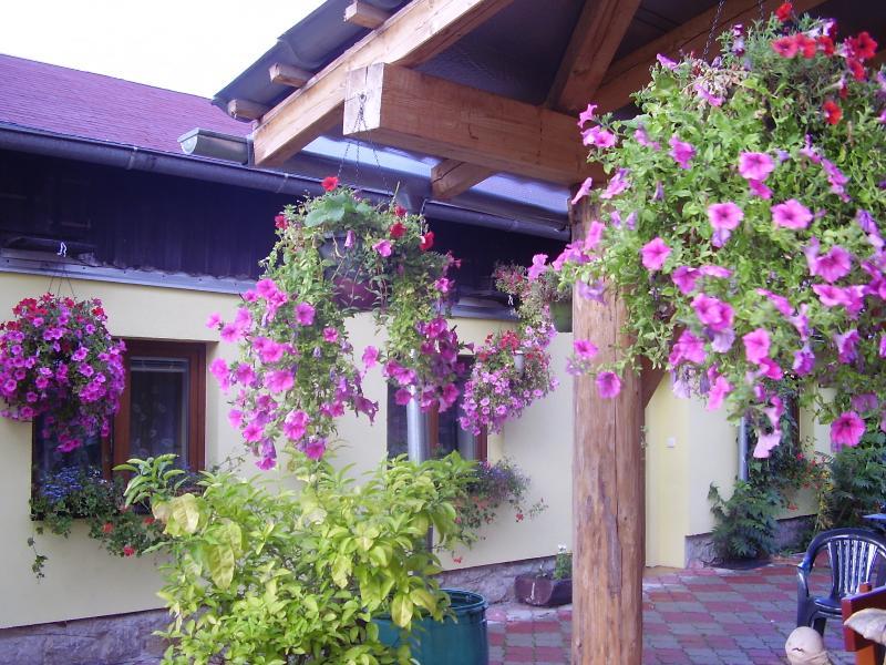 Penzion Many Peny Jindřichŭv Hradec Exterior photo