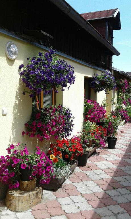 Penzion Many Peny Jindřichŭv Hradec Exterior photo